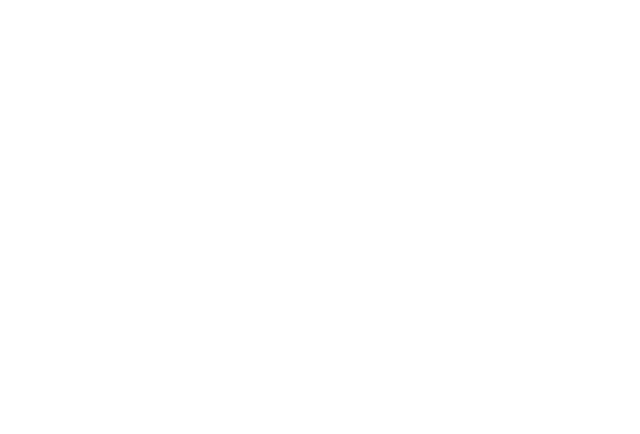 Southern Shoal LLC